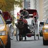 De Blasio Eyes Limiting Carriage Horses Instead Of Outright Ban